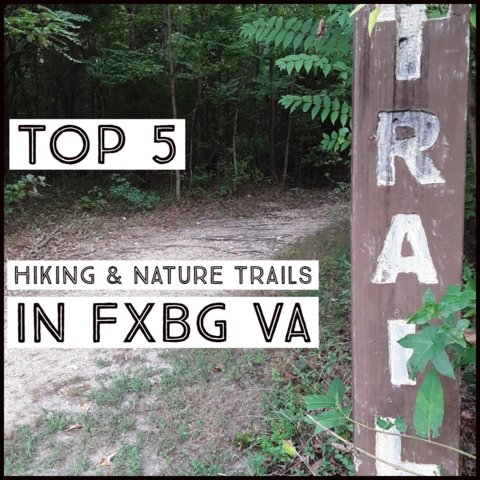 Fredericksburg, FXBG, Virginia, Nature, Nature & Hiking, Things to Do, DMV, Outdoor Recreation, Fun, Leisure, Nature Trails, Activities, Wildlife, Fishing, Hunting, Walking, Historic Landmark